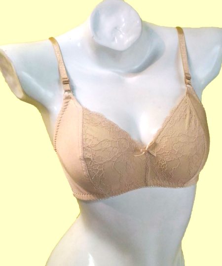 22D Bra 1
