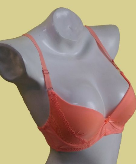 29D Bra